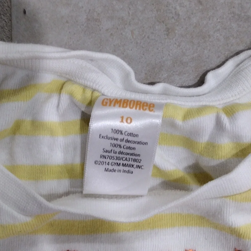 Gymboree & The Children’s Place Set of 3 – 2 Shirts & Colorful Pants, Size 10